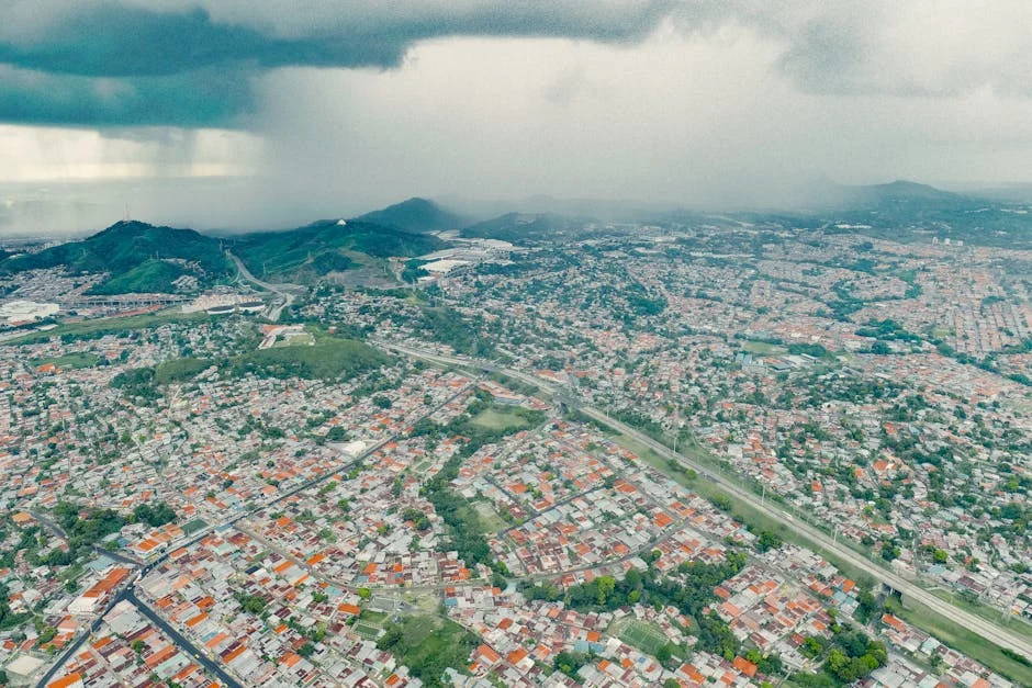 Alergia Estacional Aumenta en Caracas — Consecuencias para la Economía Regional — Baloncesto