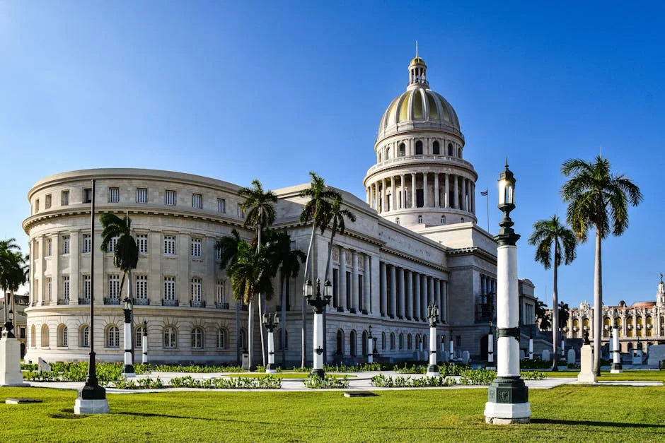 Antonelli El Revela Estrategia Transformadora que Impactará el Mercado: ¿Qué Significa? — Beisbol