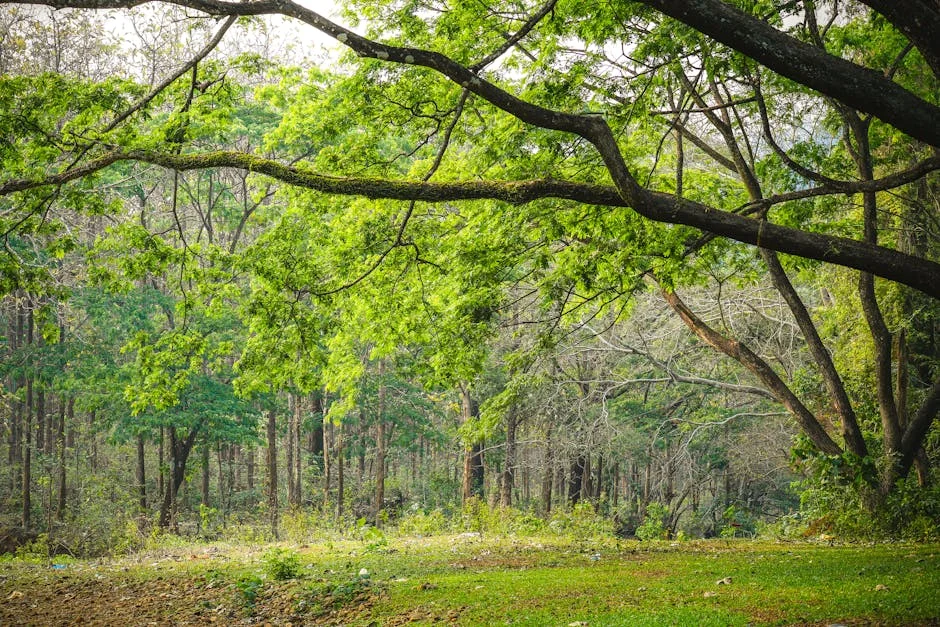 April impulsa iniciativas ambientales en Ernakulam con 200 proyectos registrados — Futbol