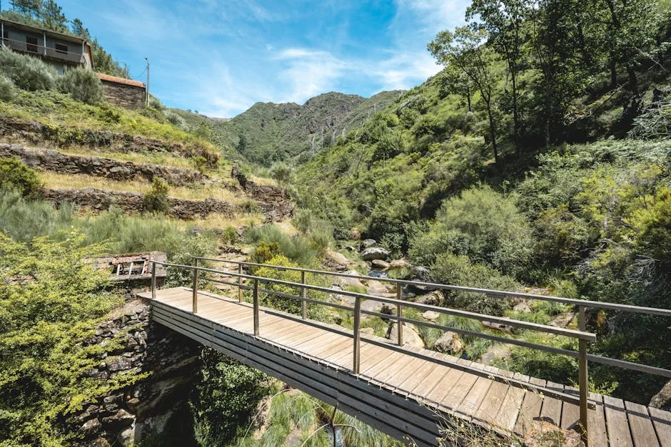 Arouca condena a ex-dirigente y tres jugadores por corrupción: lo que significa para el fútbol — Futbol