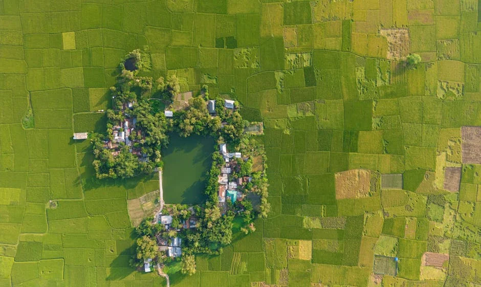 Bangladesh Prepara Estrategia Ofensiva Contra Nueva Zelanda — Impacto En Venezuela — Atletismo