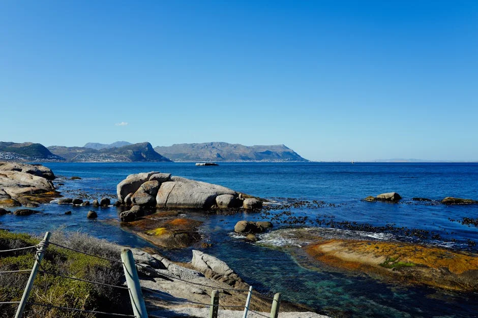 Cape Town enfrenta crisis hídrica con embalses al 50%: ¿Qué lecciones para América Latina? — Futbol Americano