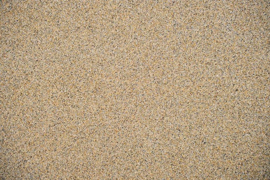 Carvalho revela mil millones de euros en obras de agua: impacto en el mercado de VE — Baloncesto