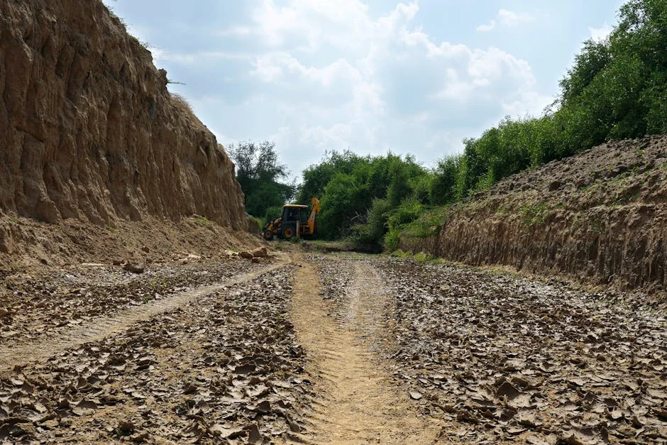 Clima Extremo en Gujarat Amenaza con Impactar Mercados de América Latina — Atletismo