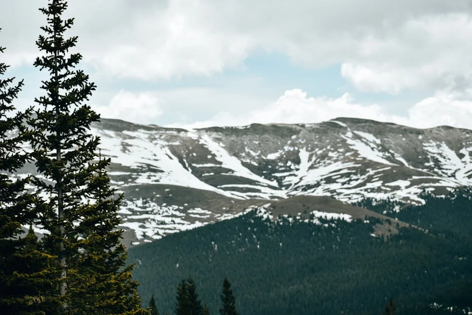 Colorado Anula Proyecto de Ley Anti-Reparación — Implicaciones Globales — Deportes Nacionales