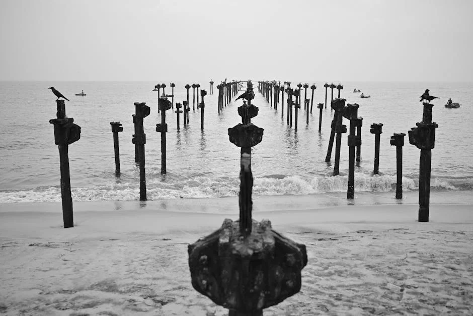 Contaminación significativa afecta las lagunas de Alappuzha y Vembanad — Deportes Nacionales