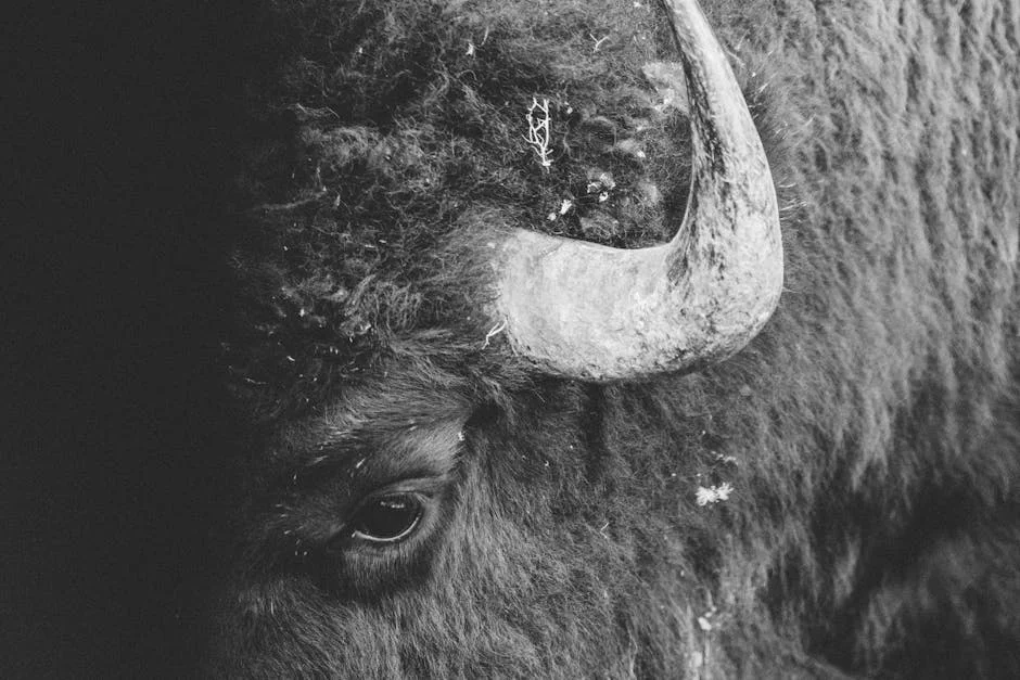 David Yarrow Captura la Esencia Vikinga de Noruega para el Mundial — Futbol