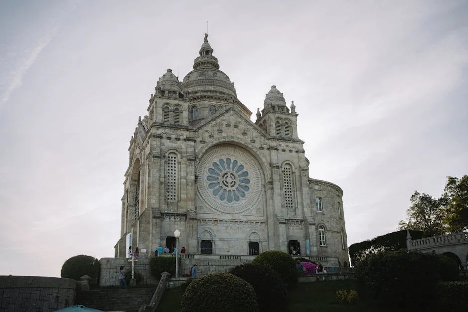 DDB Portugal lanza campaña digital solidaria para reconstrucción del Santuario SOS Animal - Impacto económico y empresarial — Beisbol