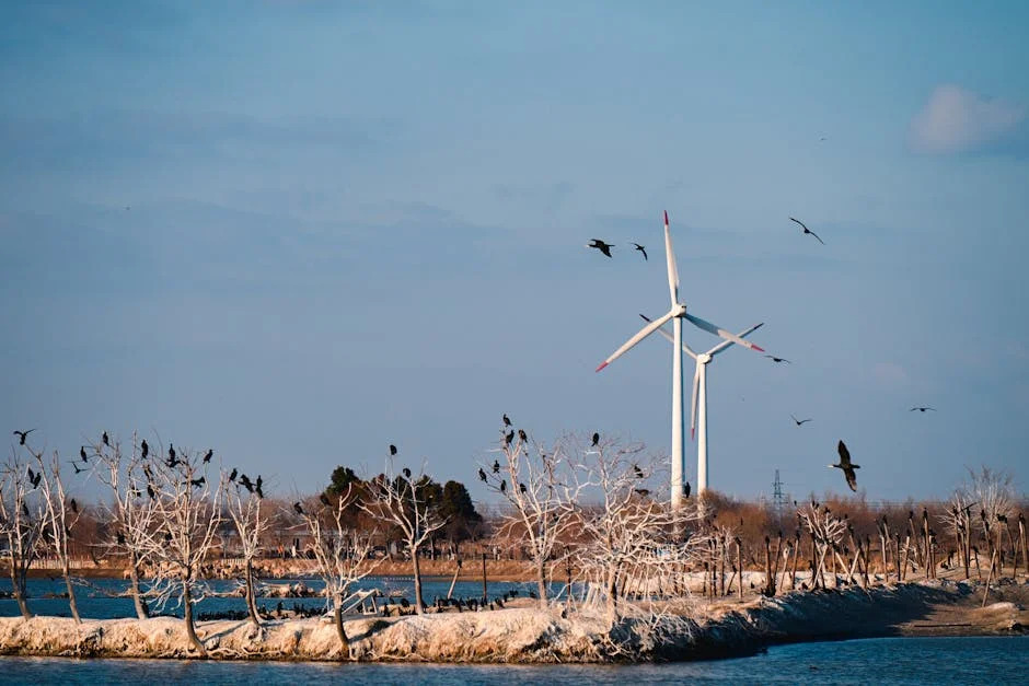 Departamento de Energía de EE.UU. culpa a empleado por publicación errónea sobre escolta naval - Impacto en VE — Deportes Nacionales