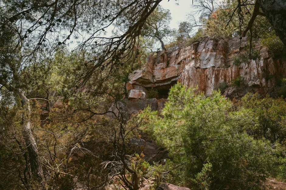 Desaparece senderista en la ruta Bibbulmun: alerta para turistas en Australia — Atletismo