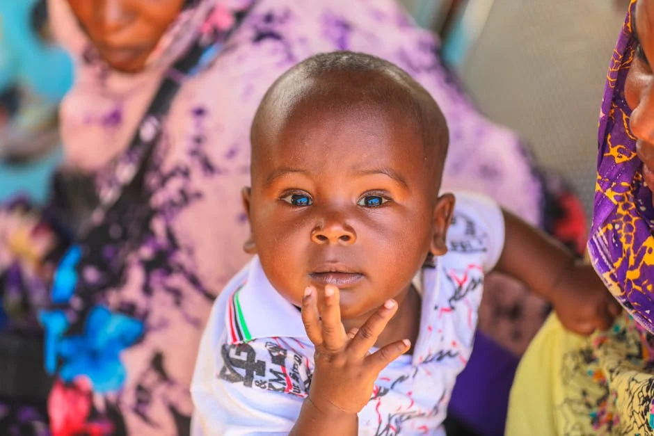 El conflicto sudanés revela una crisis económica que sacude al mercado global: ¿qué significa para los inversores? — Beisbol