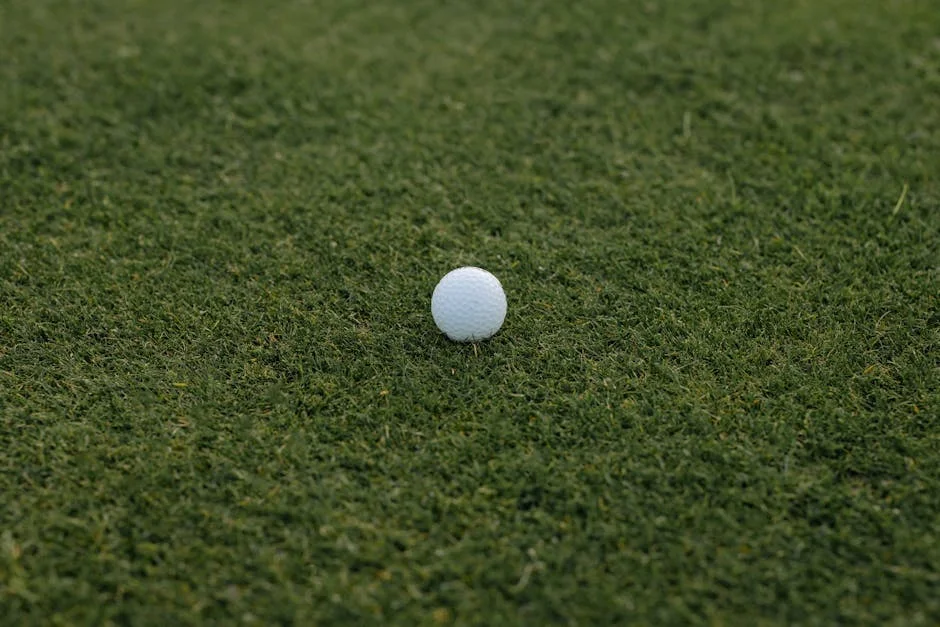 El golf mundial ignora a Venezuela en el Abierto de EE.UU. — Tenis