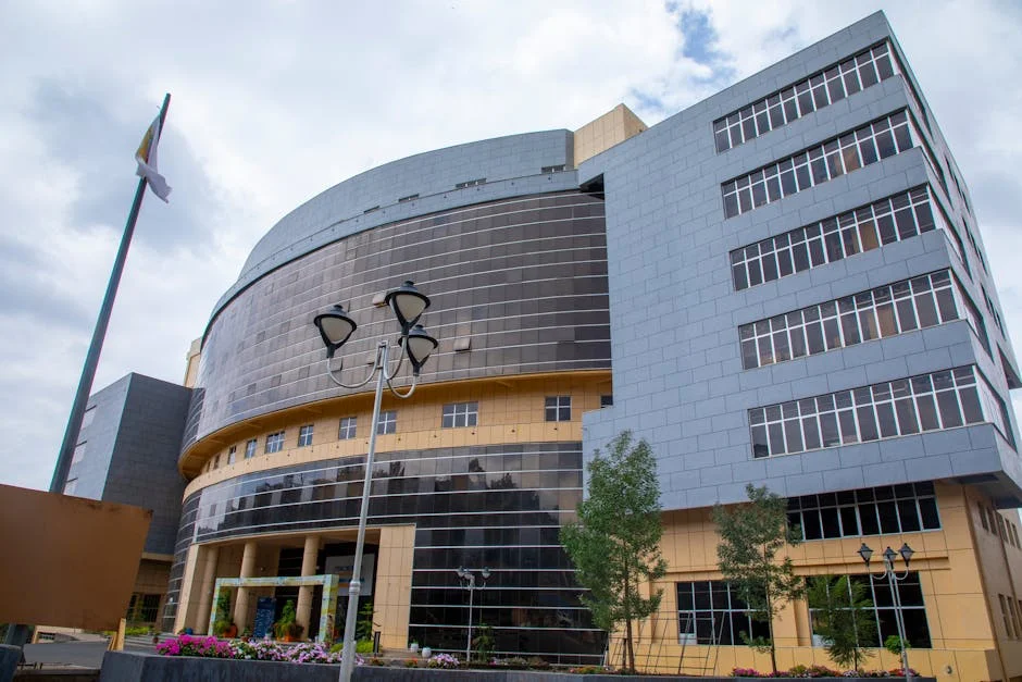 El ministro Onyejeocha dimitió bajo presión de Tinubu — ¿qué significa para Venezuela? — Futbol