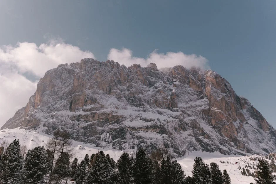 Elena Curtoni impulsa la celebración en Val di Fassa: ¿qué significa para la economía? — Beisbol