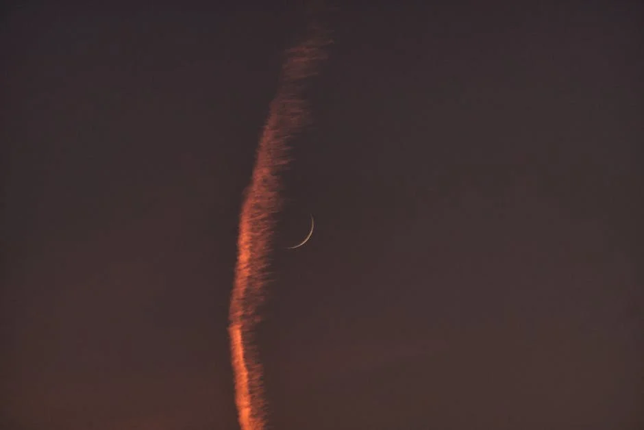 Fallo del cohete de Blue Origin retrasa planes lunares de la NASA — Impacto en Artemis — Deportes Internacionales