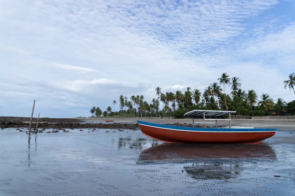 Farioli confirma que Borja Sainz será titular: las novedades del equipo reveladas — Formula 1