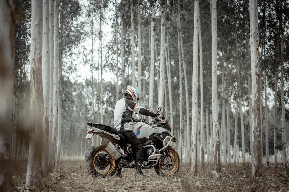 Francia Elimina Visado de Tránsito para Indios — Impulso a la Movilidad Global — Futbol