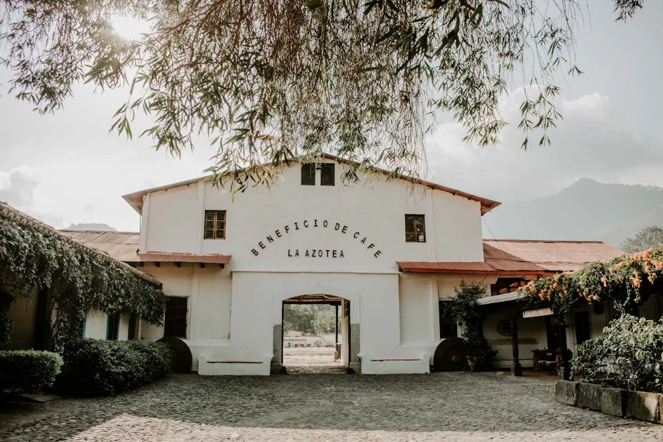 Guerra en Irán beneficia a China y cambia el escenario en Asia — Baloncesto