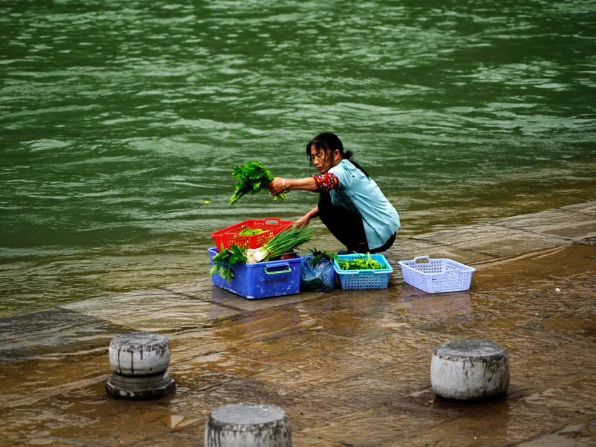 India revela cambio de paradigma laboral: la contratación a plazo fijo se convierte en la norma — Tenis