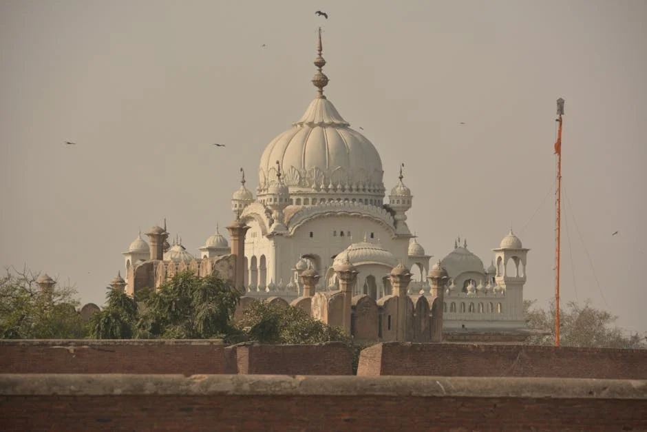 Kamal Singh enviado a cinco días de custodia policial mientras la corte ordena examen médico — Beisbol