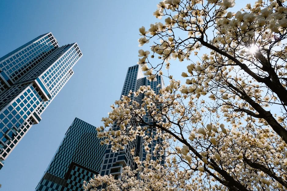 Kees Smit elige España: Impacto en mercados y economía venezolana — Futbol Americano