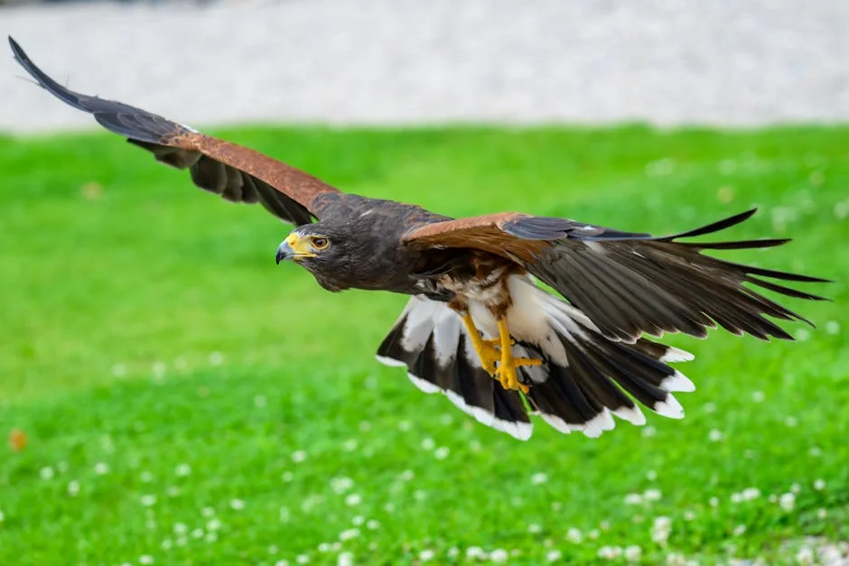 Knicks Superan a Hawks en Atlanta — Victoria Impacta en Venezuela — Boxeo