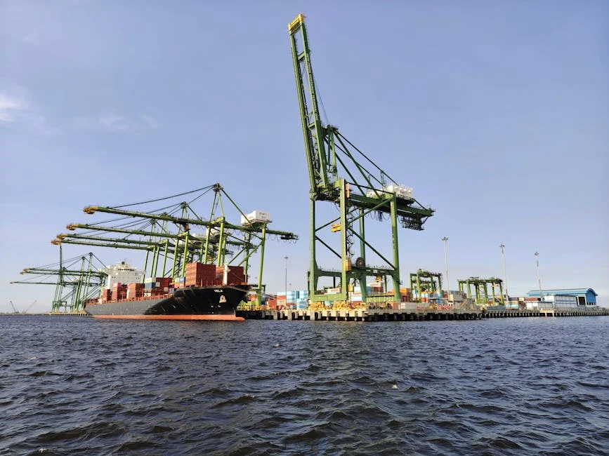 La Fiscalía Nacional de Sudáfrica Suspende Cargos en Caso de Ira Vial en Joburg — Tenis