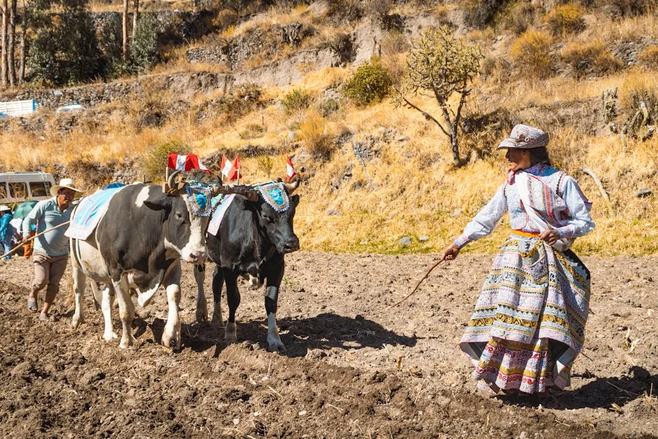 La peste olfativa asola Johannesburgo: qué significa para la economía y los negocios — Formula 1