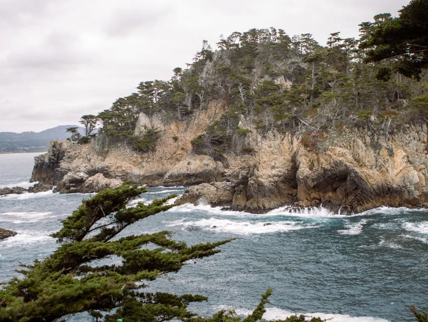 Lobo Antunes presenta "Para ler António Lobo Antunes": una exploración profunda de la poesía — Beisbol