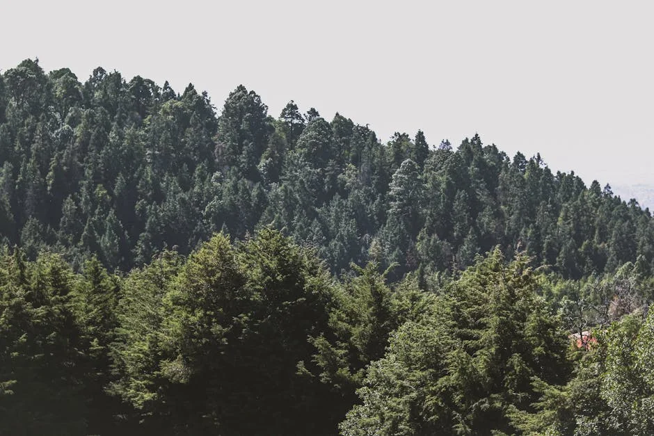 Lola Okolosie Analiza Cómo el Término "Tía" Afecta a las Mujeres en Venezuela — Tenis