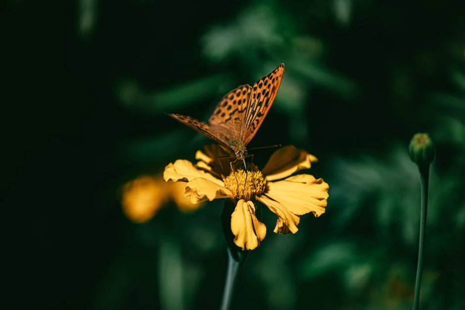 Más del 50% de las muertes maternas afectan a mujeres mayores de 35 años - Revela estudio: ¿Cómo impacta en el mercado de salud? — Baloncesto