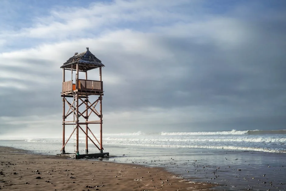 Más revela los secretos del presupuesto familiar: pocos saben realmente cómo administrarlo — Deportes Internacionales