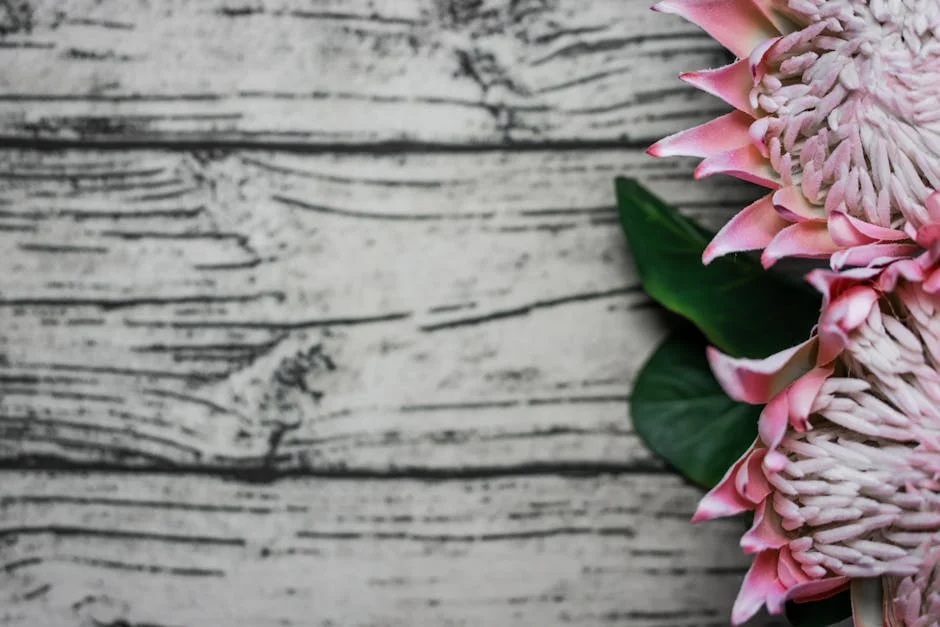 Nadine de Klerk se hace con un premio de R3.77 millones en la subasta de The Hundred — Boxeo