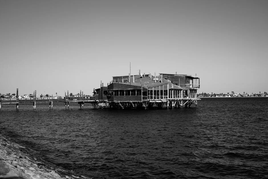 Namibia anuncia inversión masiva en energía verde: ¿Qué significa para las pingüinas y los mercados? — Tenis