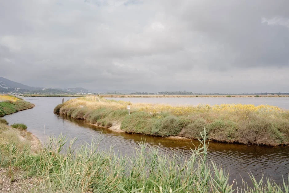 Nigeria Abre Nueva Ruta de Evacuación para Impulsar su Ambición Petrolera — Futbol