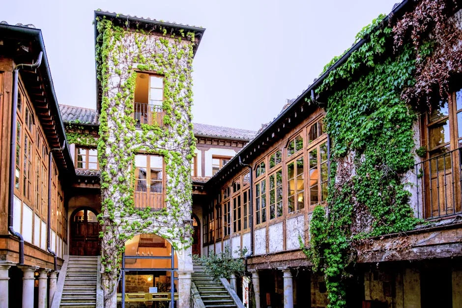 Nuno Borges cae en cuartos de Bucareste Maiato — impacto en Venezuela — Beisbol