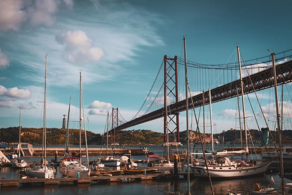 Oceanário de Lisboa Atrae hasta 500 Visitantes por Hora en el Día Mundial de los Océanos — Formula 1
