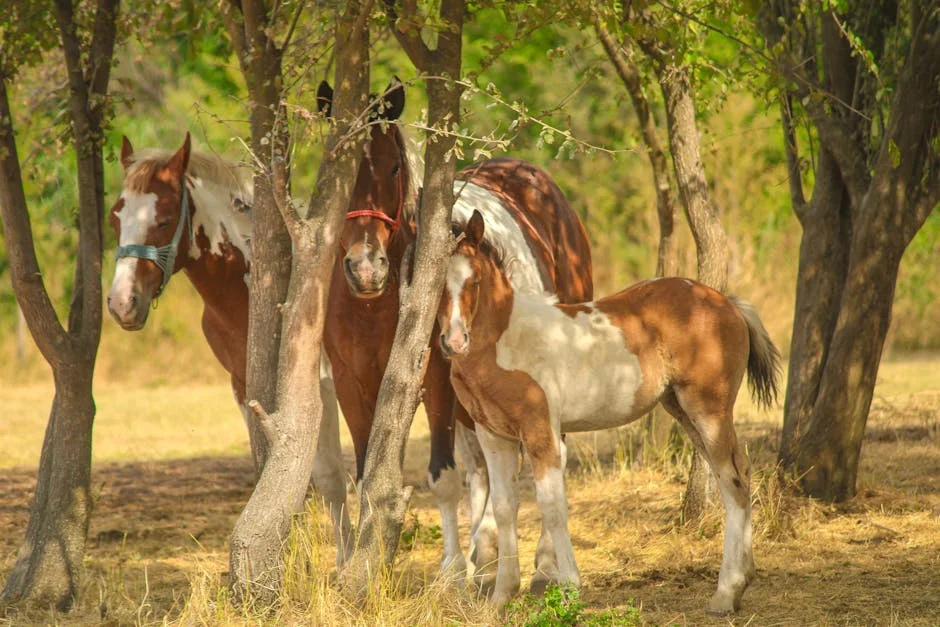 Pedro Pinto Advierte Sobre Caída de Mercados: Impacto Inmediato en Inversiones — Deportes Nacionales