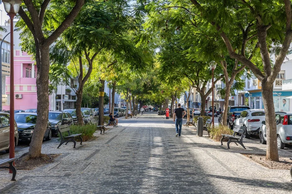 Portugal Limita Crédito — Impacto llegará a América Latina — Futbol Americano