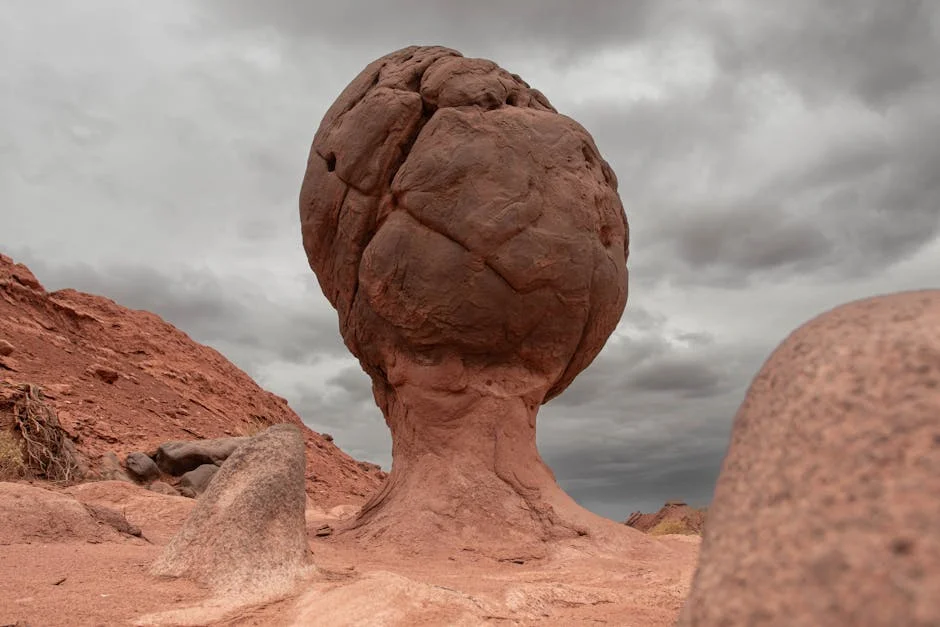 Regragui deja su puesto como entrenador de Marruecos tras la Copa del Mundo — Futbol