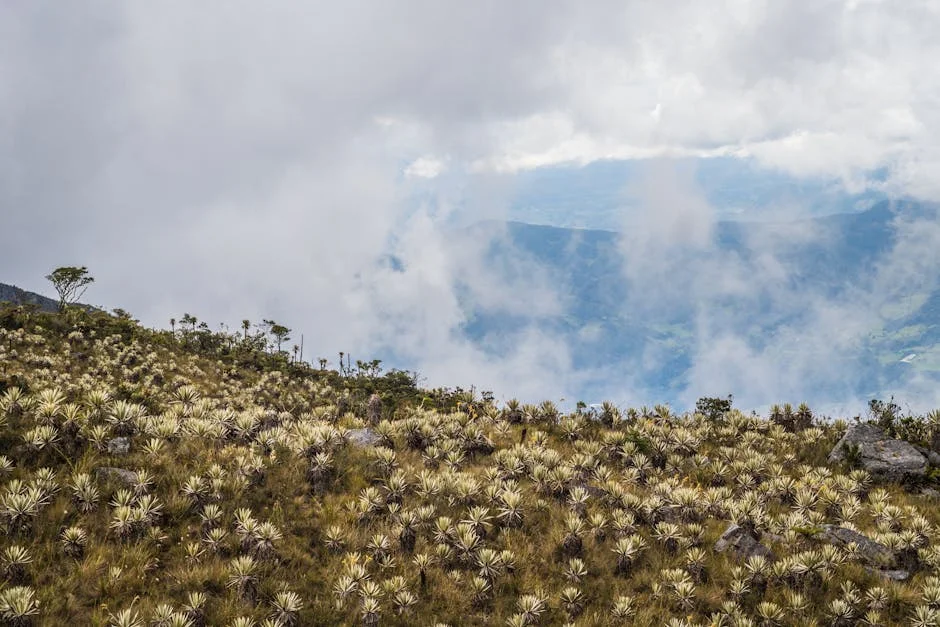 Sobre Exige Acción: Murciélagos Amenazan Ecosistemas en Venezuela — Deportes Nacionales