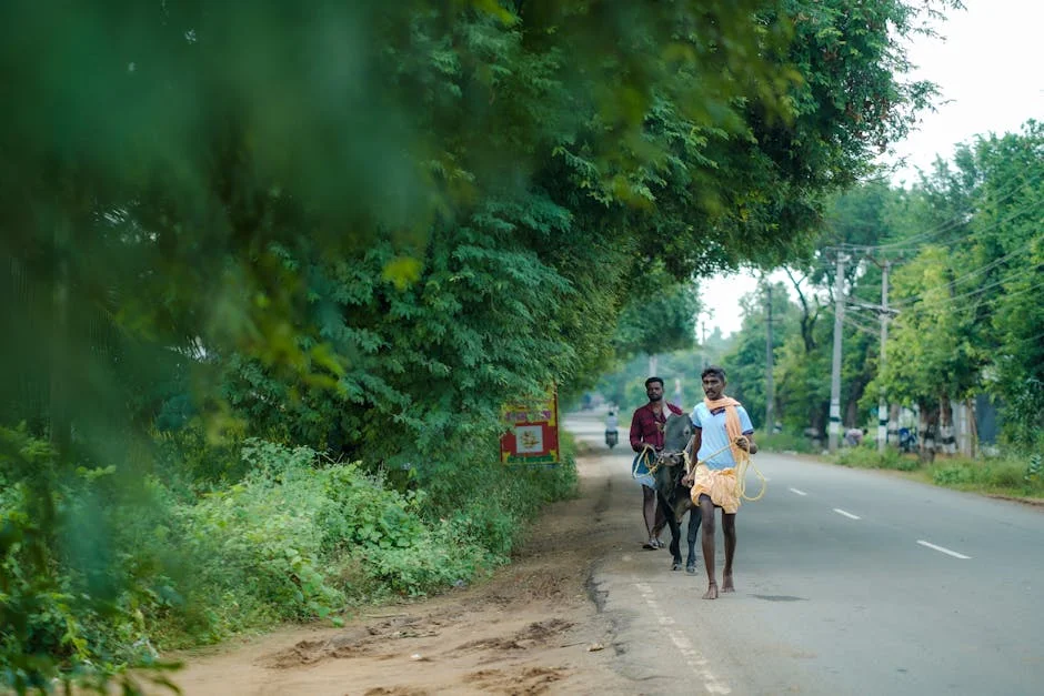 Stalin Urge a Votar en Tamil Nadu — Clave para el Futuro Regional — Baloncesto