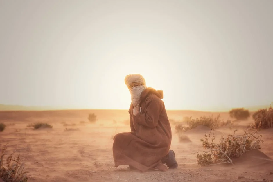 Steven Santini nombrado VP de la división de poder seguro de Schneider Electric - ¿Cómo afecta esto a Saharán África? — Beisbol