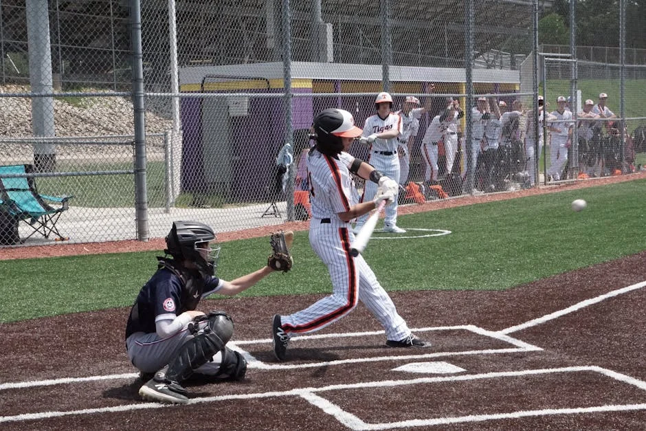 Temporada Invernal 2025-2026: ¿Quiénes se llevan el título en el béisbol venezolano? — beisbol