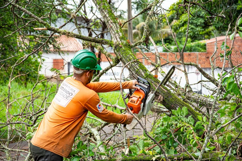 Tormentas Devastan Germantown — ¿Cómo Impacta Esto a Venezuela? — Futbol Americano