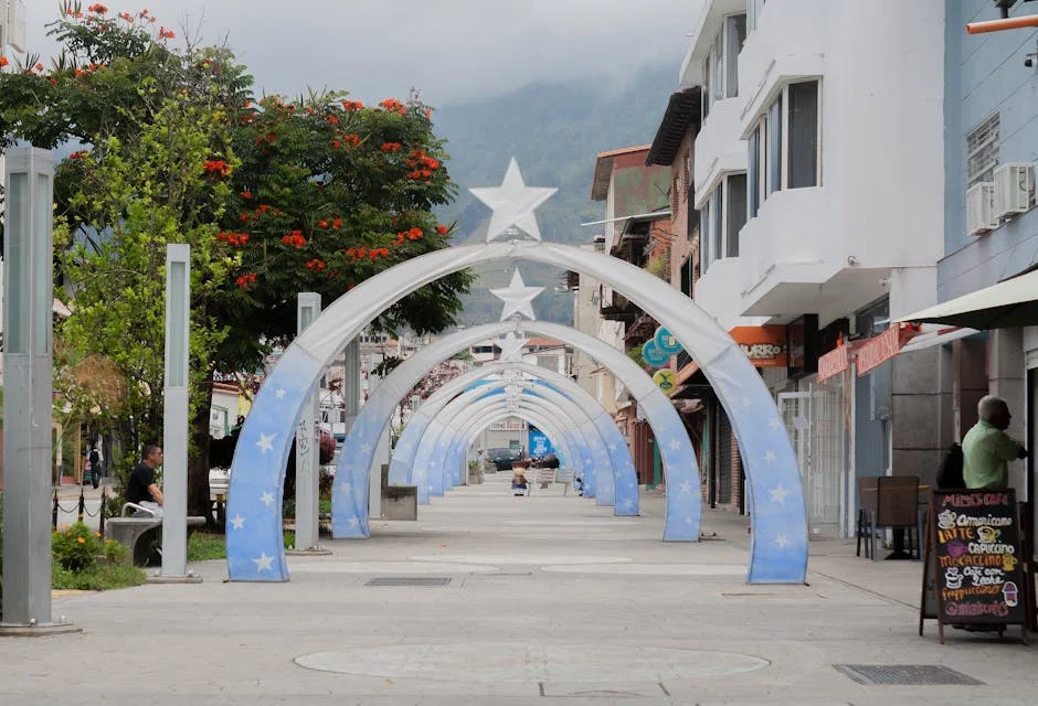 Torreense Impulsa Movimiento Social en Venezuela — Beisbol