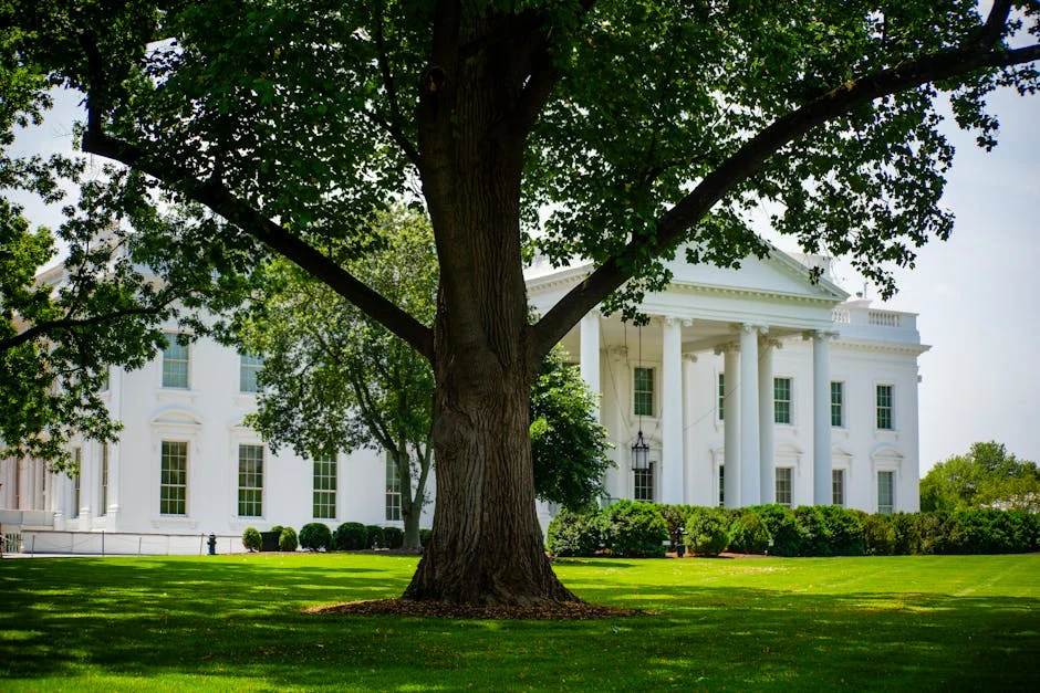 Trump's Iran Tensions Trigger Bitcoin Gains While Oil and Stocks Plunge — Futbol Americano