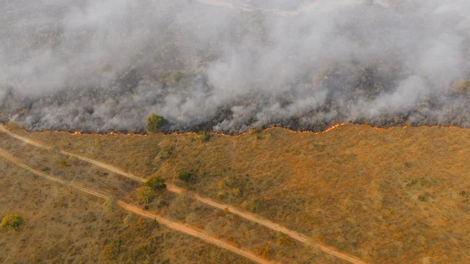 Tshwane lanza campaña invernal contra incendios de sabana — Deportes Internacionales