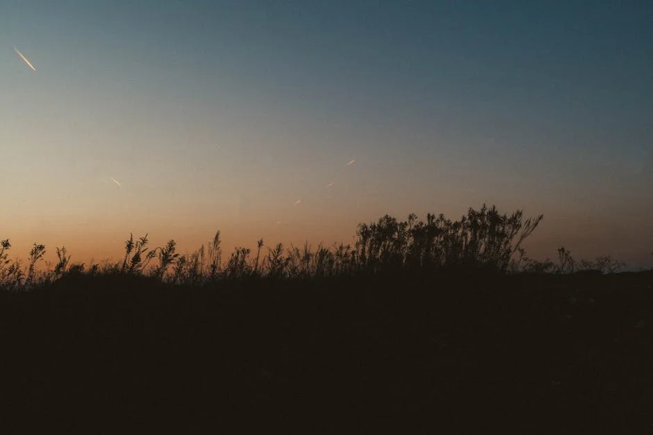 Wall Street se desploma: Dow pierde más de 700 puntos mientras el petróleo roza los $120 — ¿qué significa esto? — Beisbol