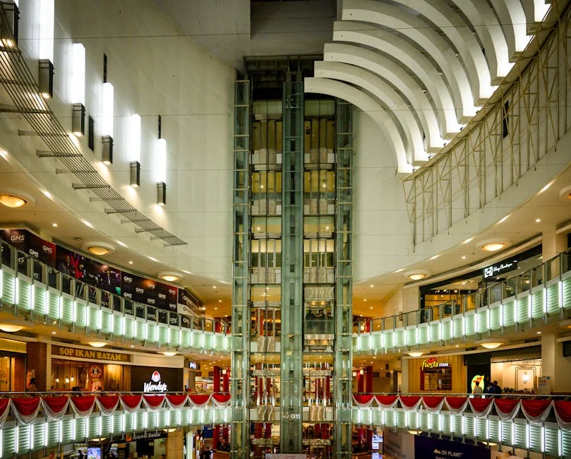 Wendy Knowler revela cómo salir del lío con las aseguradoras: clave para consumidores — Atletismo